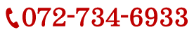 072-734-6933