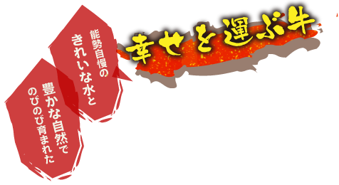 幸せを運ぶ牛 能勢自慢の豊かな自然でのびのび育まれたきれいな水と
